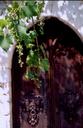 Grape vines hang from the balcony of one of Assisis ancient homes.